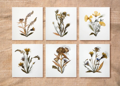 Kunsthandwerk aus Naturmaterialien. DIY-Meisterkurse zu schnellen und schönen Produkten