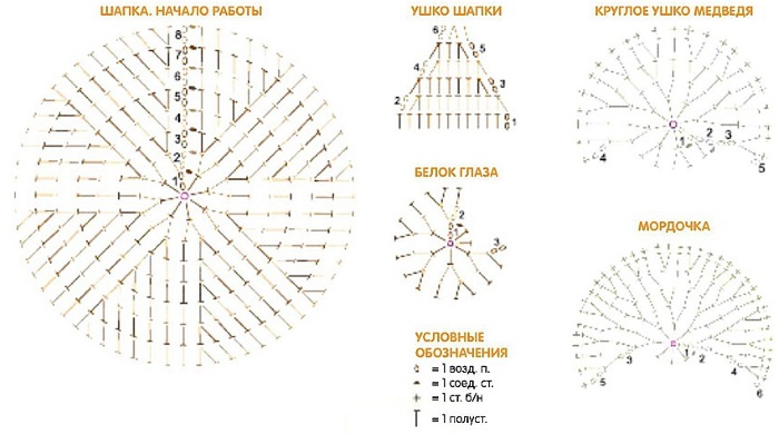 Mütze für neugeborene Jungen und Mädchen. Stricken mit Beschreibungen und Diagrammen