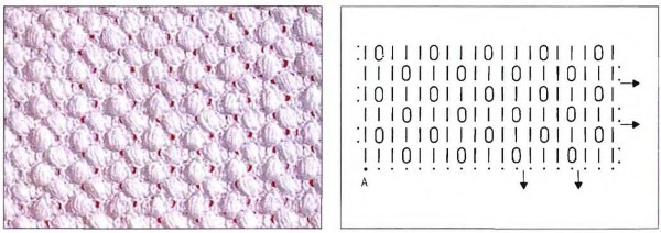 Modelli per lavorare a maglia i guanti. Masterclass, diagrammi con descrizioni di modelli semplici e belli per principianti