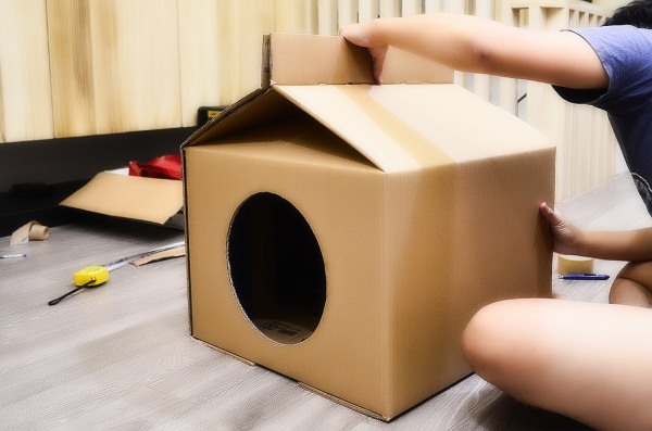 Katzenhaus aus einem Karton. Meisterklasse: Anleitung zum Selbermachen, Zeichnungen mit Maßangaben, Fotos