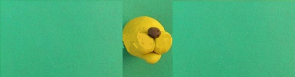 So basteln Sie für Kinder Tiere aus Plastilin: Haustiere, Wildtiere, Meerestiere. Schritt-für-Schritt-Anleitung mit Fotos für Anfänger