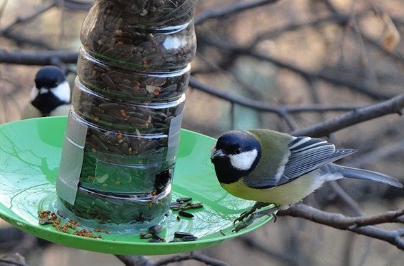 DIY-Vogelhäuschen aus einer Plastikflasche. Meisterkurs mit Schritt-für-Schritt-Fotos, für den Kindergarten oder auf dem Gelände