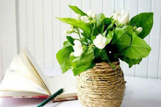 So machen Sie ein Geburtstagsgeschenk: für einen Freund, eine Freundin, Mama, Papa, Freundin, Oma, Bruder, Schwester. Schnelle und einfache DIY-Bastelideen