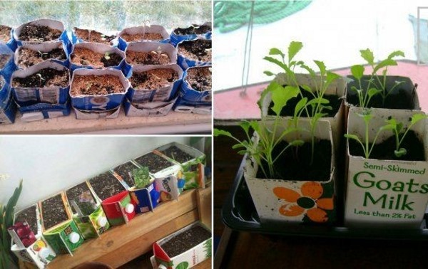 Mit Ihren eigenen Händen aus unnötigen Dingen: Hof, Garten, Gemüsegarten. Kreative Ideen. Schritt-für-Schritt-Anleitung