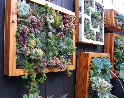 Mit Ihren eigenen Händen aus unnötigen Dingen: Hof, Garten, Gemüsegarten. Kreative Ideen. Schritt-für-Schritt-Anleitung