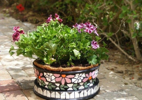 Mit Ihren eigenen Händen aus unnötigen Dingen: Hof, Garten, Gemüsegarten. Kreative Ideen. Schritt-für-Schritt-Anleitung