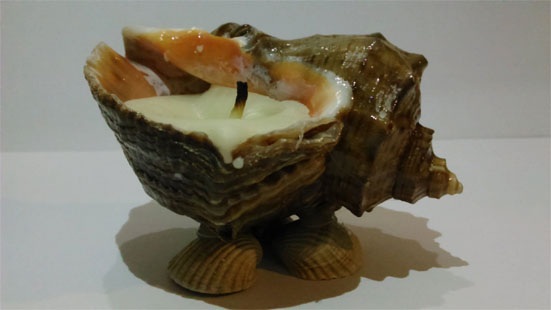 Kunsthandwerk aus Meeressteinen und Muscheln. Ideen, Anleitungen für Kinder, Garten, Haushalt. Schritt-für-Schritt-Meisterkurse