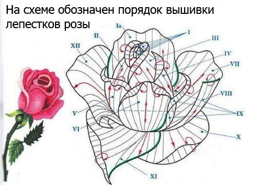 Satinstichstickerei für Anfänger. Schemata, Zeichnungen: Blumen, Rosen, Buchstaben, Vögel. Volumetrische Stickerei, Technik