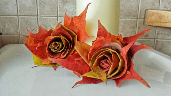 So machen Sie Schritt für Schritt eine Rose aus Ahornblättern und einem Baum. Meisterkurs für Anfänger