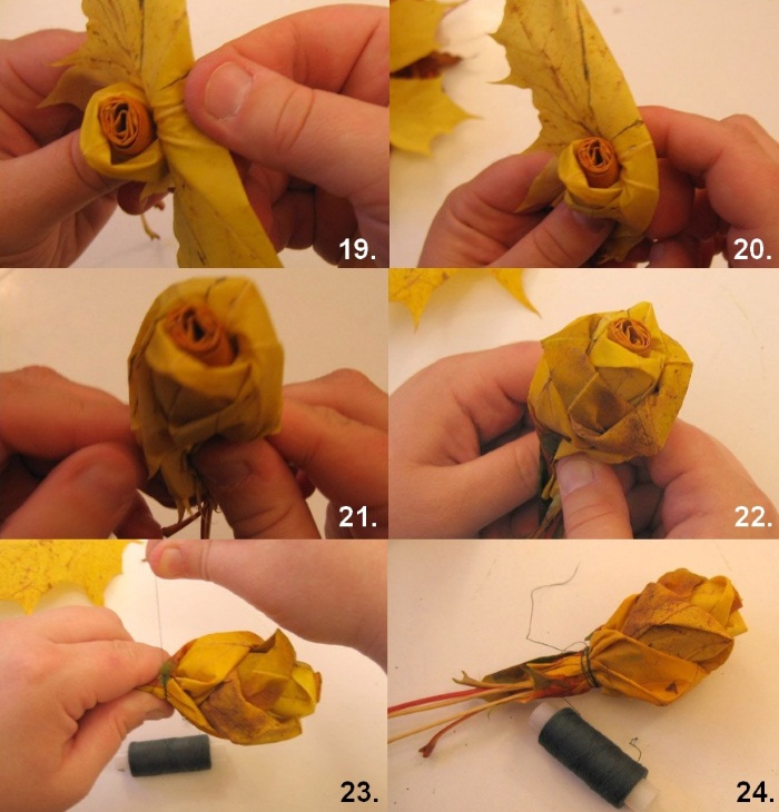So machen Sie Schritt für Schritt eine Rose aus Ahornblättern und einem Baum. Meisterkurs für Anfänger
