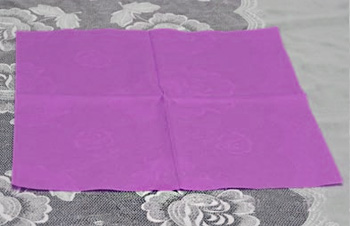 So machen Sie Schritt für Schritt mit Ihren eigenen Händen eine Blume aus einer Serviette für Anfänger. Foto