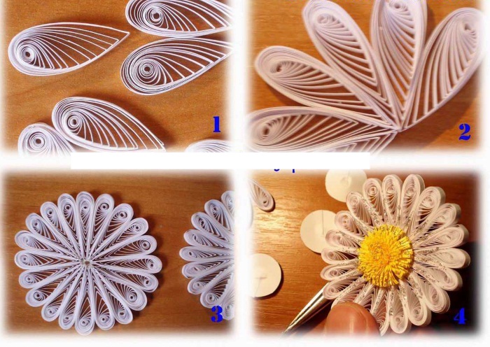 Quilling-Basteln für Anfänger. Schemata, Blumen Schritt für Schritt, wie man macht