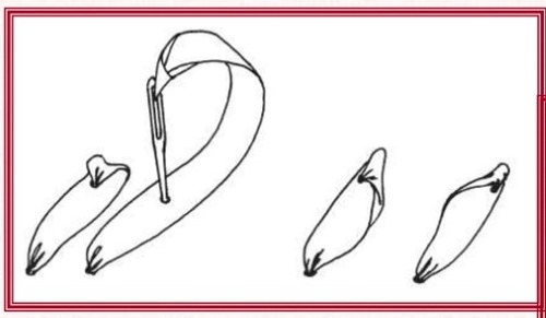 Sticken mit Bändern für Anfänger. Schritt-für-Schritt-Lektionen: Gemälde, Blumen