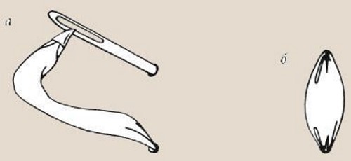 Sticken mit Bändern für Anfänger. Schritt-für-Schritt-Lektionen: Gemälde, Blumen