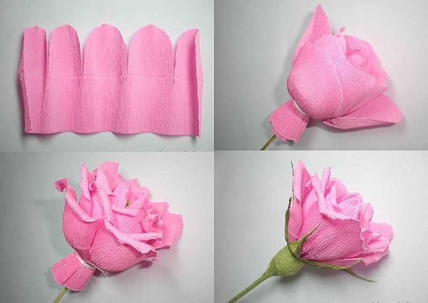 DIY-Papierblume. So machen Sie Schritt für Schritt voluminöse Blumen