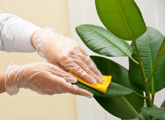 Floristik für Anfänger Schritt für Schritt. Blumensträuße zusammenstellen, Deko-Training, Fotos, Video-Tutorials
