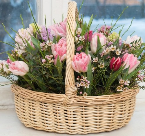 Floristik für Anfänger Schritt für Schritt. Blumensträuße zusammenstellen, Deko-Training, Fotos, Video-Tutorials
