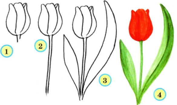 Schritt für Schritt Zeichnen mit Bleistift für Anfänger. Blumen, Porträt, menschliches Gesicht, Augen, 3D-Zeichnungen. Schritt-für-Schritt-Lektionen