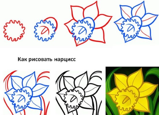 Schritt für Schritt Zeichnen mit Bleistift für Anfänger. Blumen, Porträt, menschliches Gesicht, Augen, 3D-Zeichnungen. Schritt-für-Schritt-Lektionen