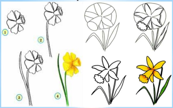 Schritt für Schritt Zeichnen mit Bleistift für Anfänger. Blumen, Porträt, menschliches Gesicht, Augen, 3D-Zeichnungen. Schritt-für-Schritt-Lektionen