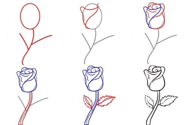 Schritt für Schritt Zeichnen mit Bleistift für Anfänger. Blumen, Porträt, menschliches Gesicht, Augen, 3D-Zeichnungen. Schritt-für-Schritt-Lektionen