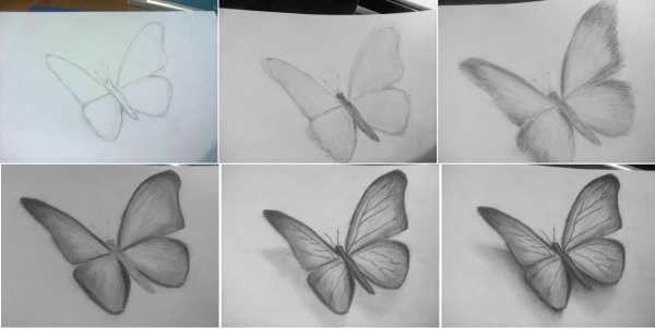 Schritt für Schritt Zeichnen mit Bleistift für Anfänger. Blumen, Porträt, menschliches Gesicht, Augen, 3D-Zeichnungen. Schritt-für-Schritt-Lektionen
