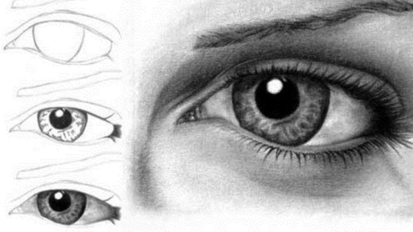 Schritt für Schritt Zeichnen mit Bleistift für Anfänger. Blumen, Porträt, menschliches Gesicht, Augen, 3D-Zeichnungen. Schritt-für-Schritt-Lektionen