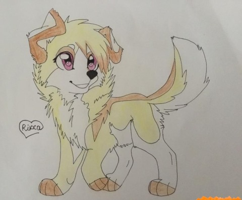 Anime-Bilder zum Bleistiftskizzieren. Tiere, Gesichter von Mädchen und Jungen Schritt für Schritt. Meisterkurse für Anfänger