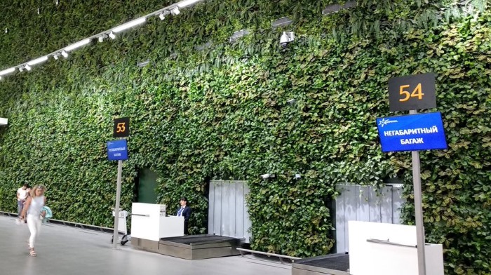 Basteln aus Plastikflaschen zum Selbermachen für die Hütte, den Garten, den Gemüsegarten, den Kindergarten, die Schule. Foto