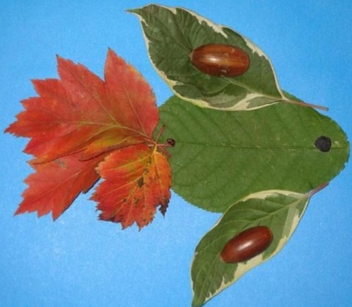 Schönes Kunsthandwerk aus Naturmaterialien mit Ihren eigenen Händen zu Hause. Meisterkurse Schritt für Schritt