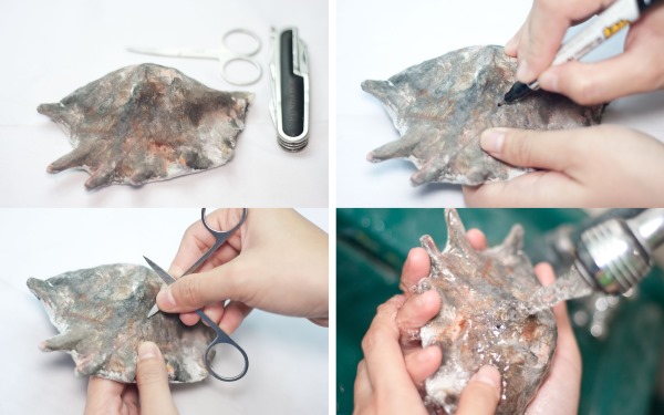 Was man mit eigenen Händen aus Muscheln machen kann. Basteln für Anfänger, Kinder. Anleitungen, Fotos