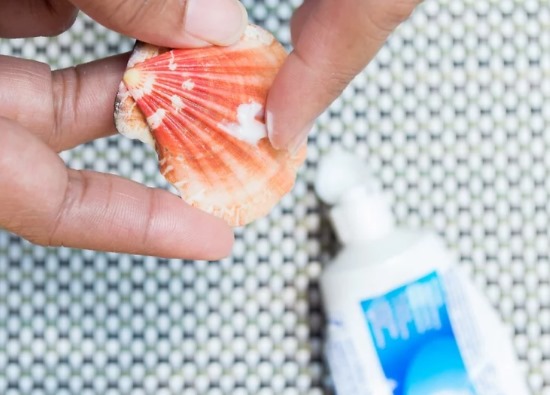 Was man mit eigenen Händen aus Muscheln machen kann. Basteln für Anfänger, Kinder. Anleitungen, Fotos