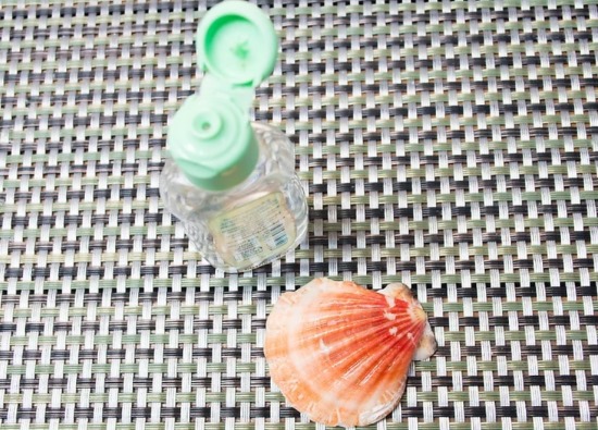Was man mit eigenen Händen aus Muscheln machen kann. Basteln für Anfänger, Kinder. Anleitungen, Fotos