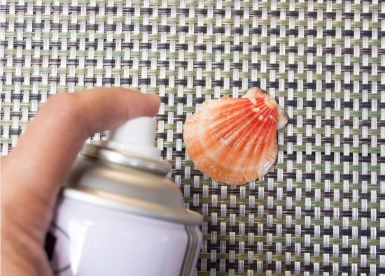 Was man mit eigenen Händen aus Muscheln machen kann. Basteln für Anfänger, Kinder. Anleitungen, Fotos