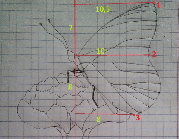 Disegni a matita sulle celle di un quaderno, diario personale. Masterclass per principianti: complesso, piccolo, 3D