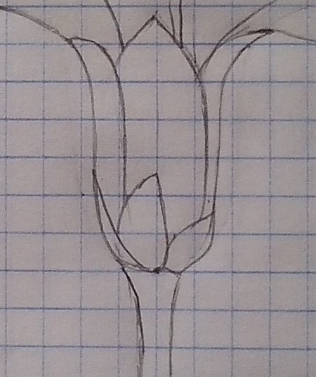 Disegni a matita sulle celle di un quaderno, diario personale. Masterclass per principianti: complesso, piccolo, 3D