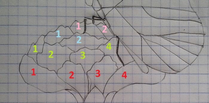 Disegni a matita sulle celle di un quaderno, diario personale. Masterclass per principianti: complesso, piccolo, 3D