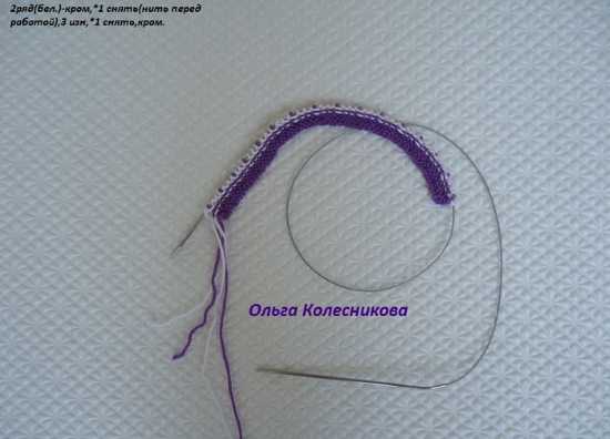 Gestrickte Hausschuhe mit Stricknadeln mit Diagrammen und Beschreibungen. MK von Olga Kolesnikova, Kozhevnikova