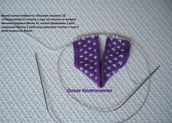 Gestrickte Hausschuhe mit Stricknadeln mit Diagrammen und Beschreibungen. MK von Olga Kolesnikova, Kozhevnikova