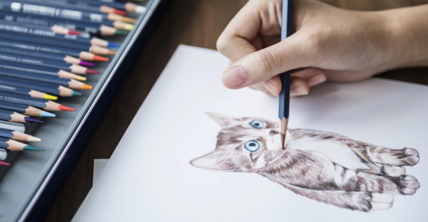 Professionelle Zeichenstifte: Graphit, Aquarell, Buntstifte. Welche sind besser?