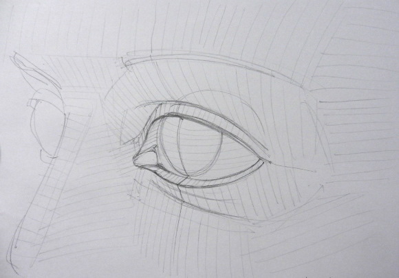3D-Bleistiftzeichnungen Schritt für Schritt für Anfänger: menschliches Gesicht, Kopf, Augen, Porträt