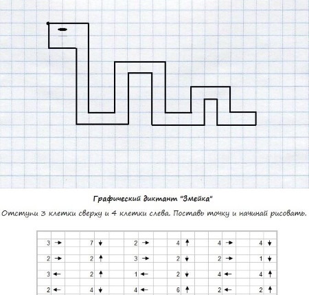 Geometrische Zeichnungen nach Zellen. Einfache und komplexe Muster