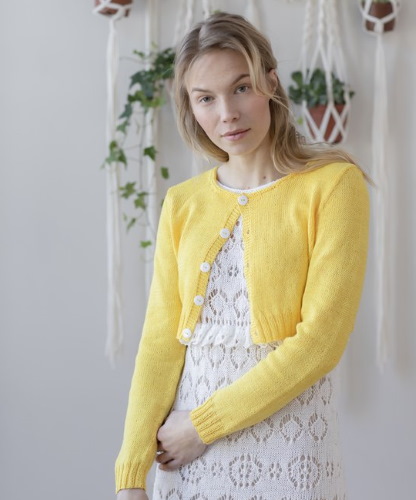 Strickjacken-Stricknadeln. Schemata und Beschreibung für Frauen. Neuheiten, Stricken für Anfänger