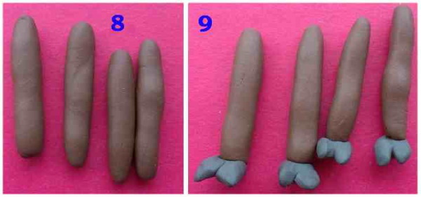 Basteln aus Plastilin 2-3-4 Klasse Schritt für Schritt nach Technologie