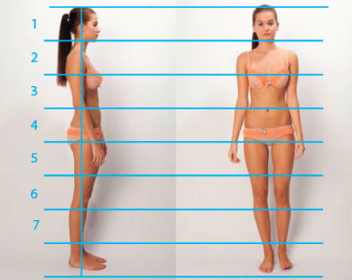 Tutorials zum Zeichnen einer Person für Anfänger. Anatomie