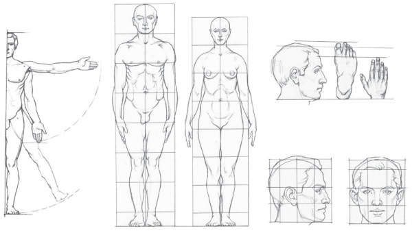 Tutorials zum Zeichnen einer Person für Anfänger. Anatomie