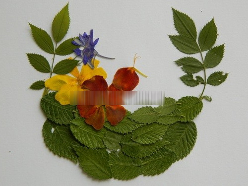 Basteln aus getrockneten Blättern, Blumen für Kinder der Grundschule