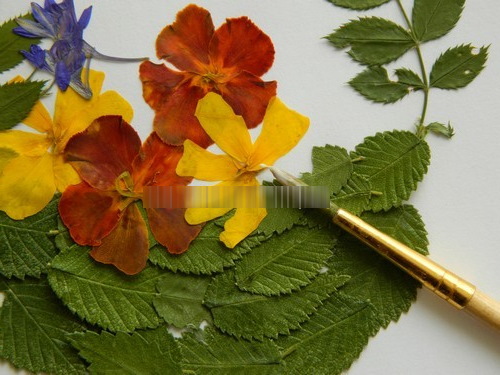 Basteln aus getrockneten Blättern, Blumen für Kinder der Grundschule