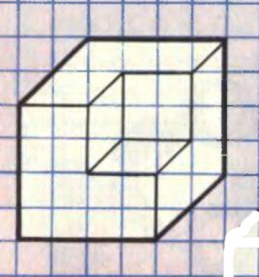 Zeichnungen auf Zellen sind groß, einfach, komplex, schön im A4-Notizbuch