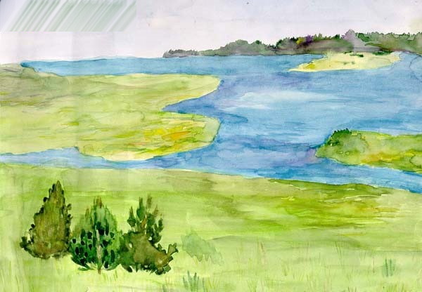 Naturzeichnungen zum Nachzeichnen mit Bleistift, Aquarell, Farben, Gouache